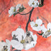 Thompson, Laura Title: Dogwood