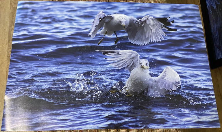 van Hilst, Griffin Title: Bread Battle 2